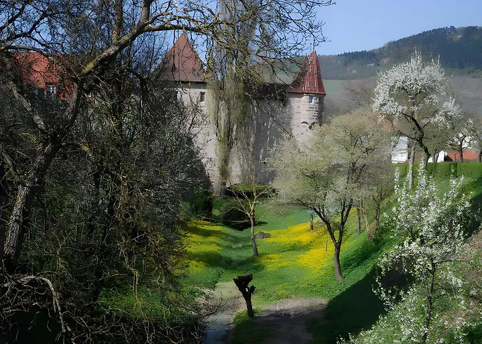 Weingut Ilmbacher Hof Apartment