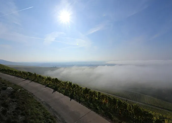 Weingut Ilmbacher Hof *