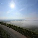 Weingut Ilmbacher Hof *