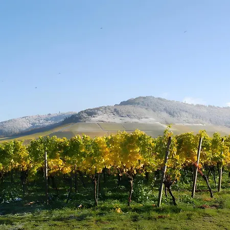 Апартаменты Weingut Ilmbacher Hof *