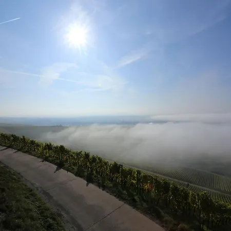 Weingut Ilmbacher Hof * Ипхофен